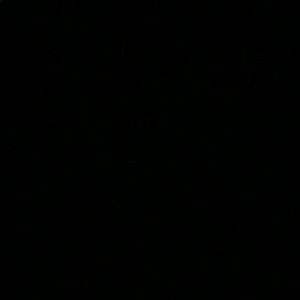 Meet your Posher, Julian